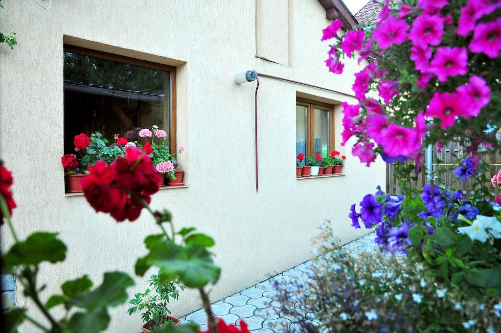 Отель Casa Maria Гура-Гуморулуй Экстерьер фото